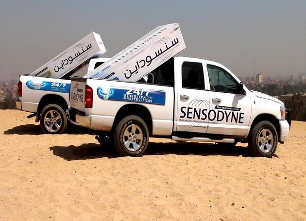 898_532291290124043_66981098_n